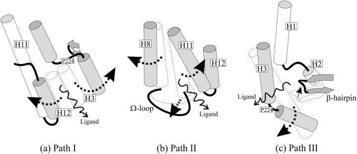 FIGURE 3