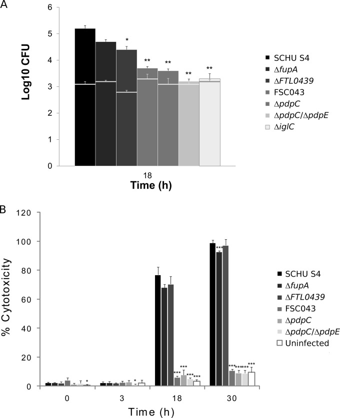 FIG 3