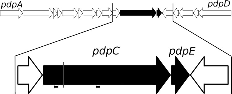 FIG 2