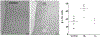 Figure 6: