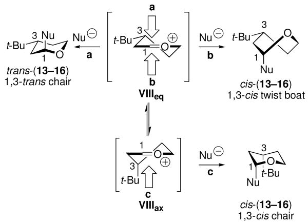 Scheme 4