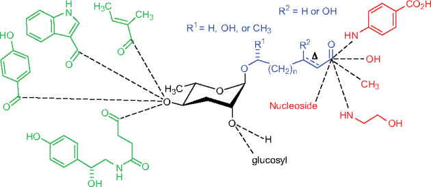 Figure 5