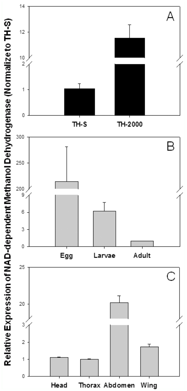 Figure 3. 