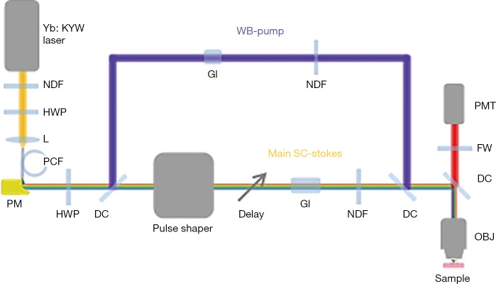 Figure S1