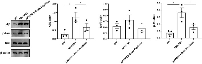 FIGURE 3