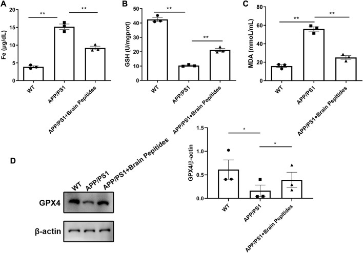 FIGURE 4