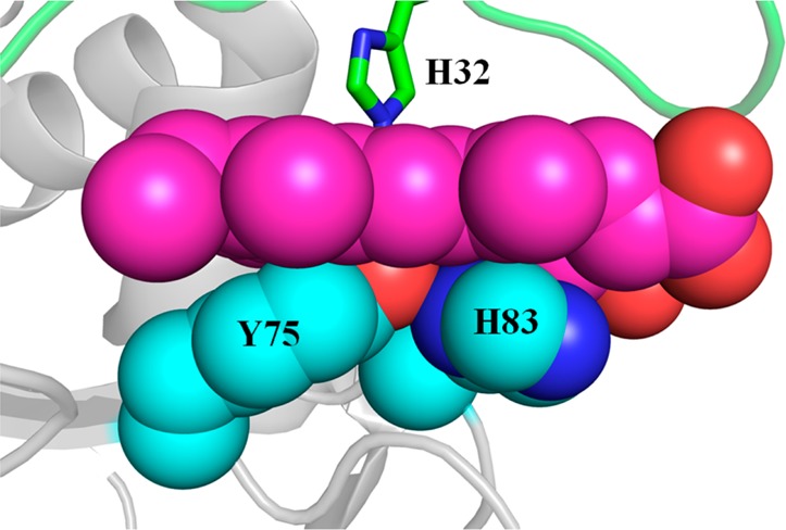 Figure 11