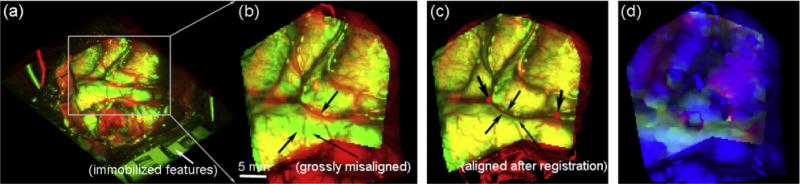 Fig. 8