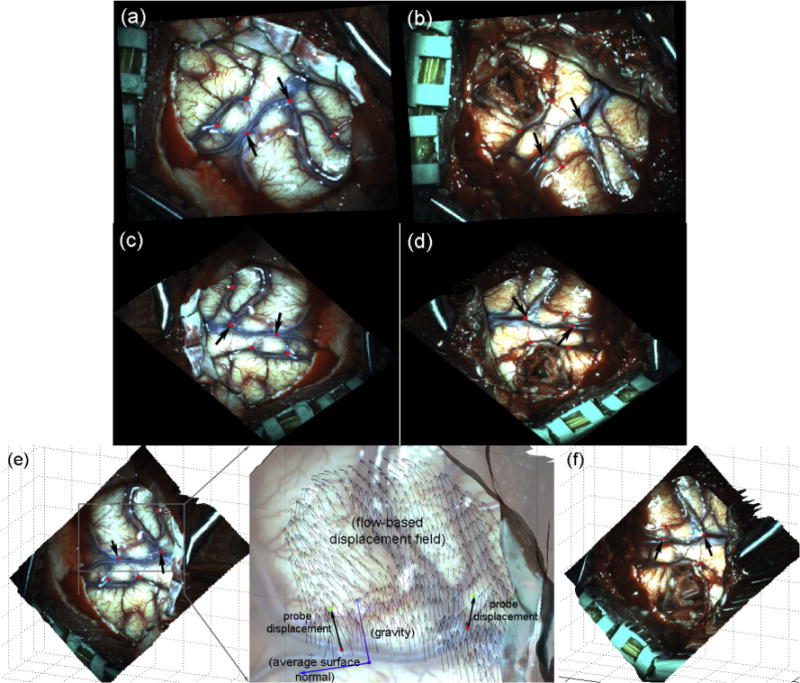 Fig. 7