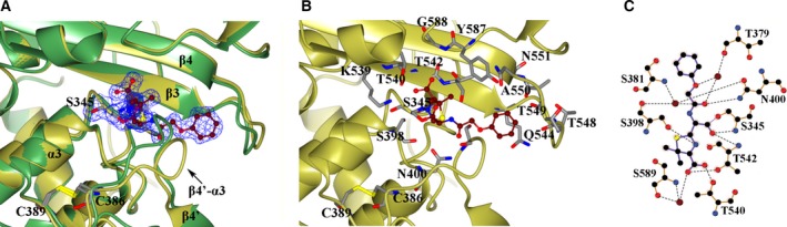 Figure 4