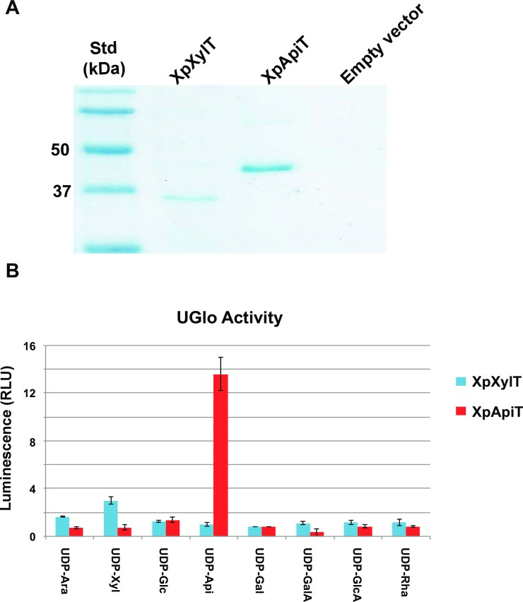 Fig 3