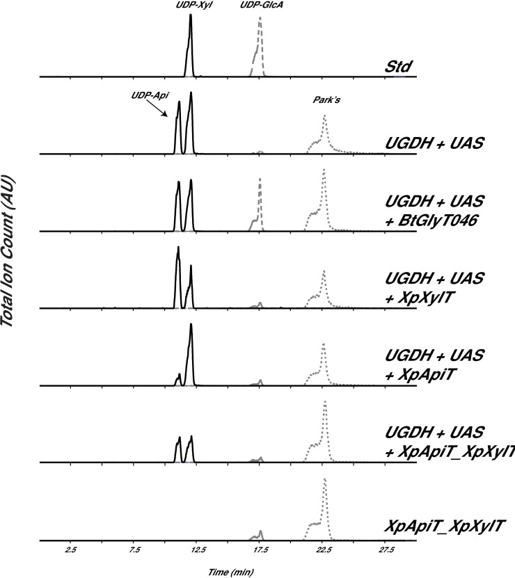 Fig 2