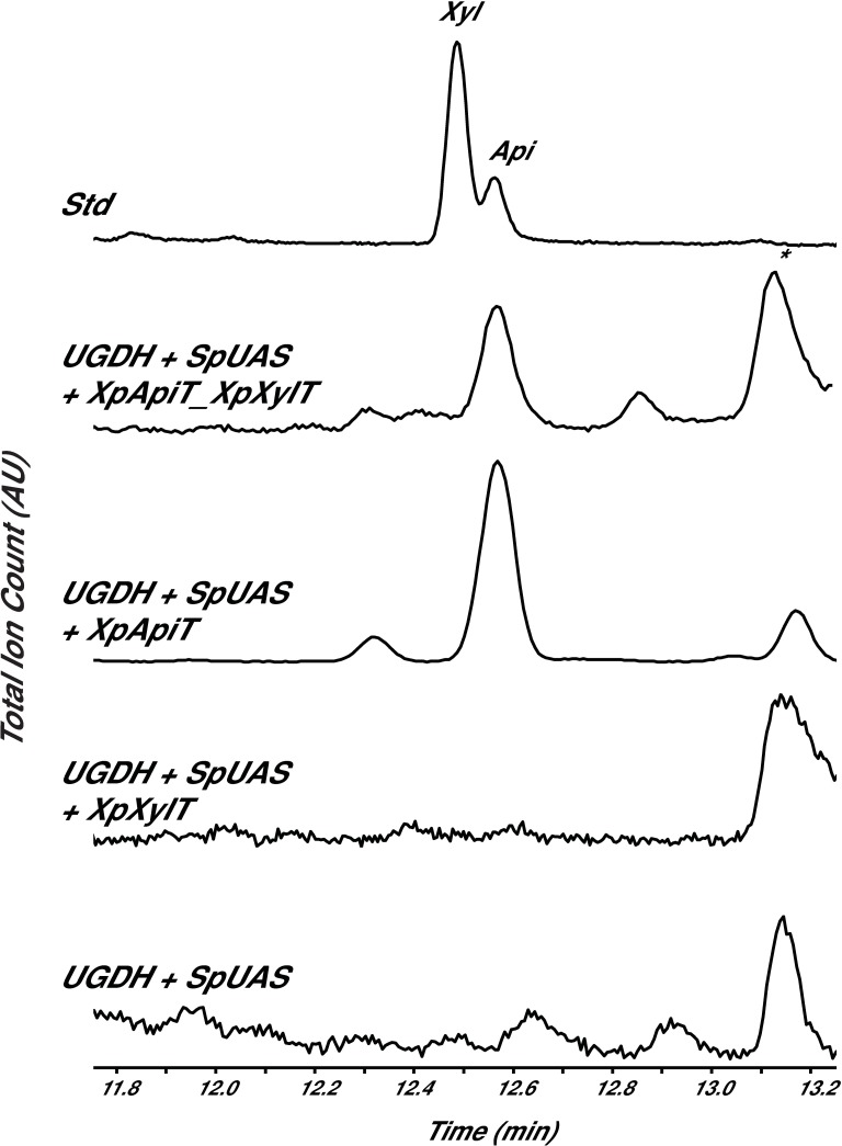 Fig 5