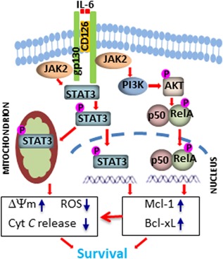 Figure 6