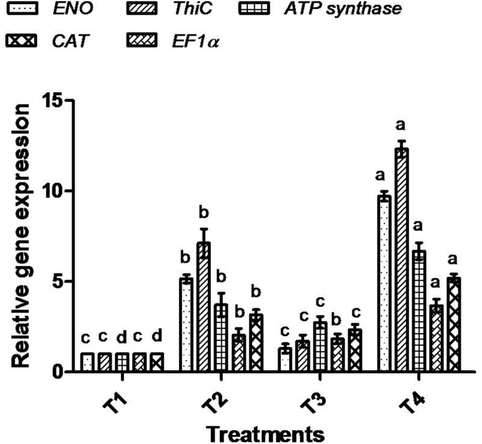 FIGURE 11