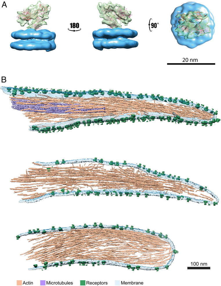 Fig. 4.