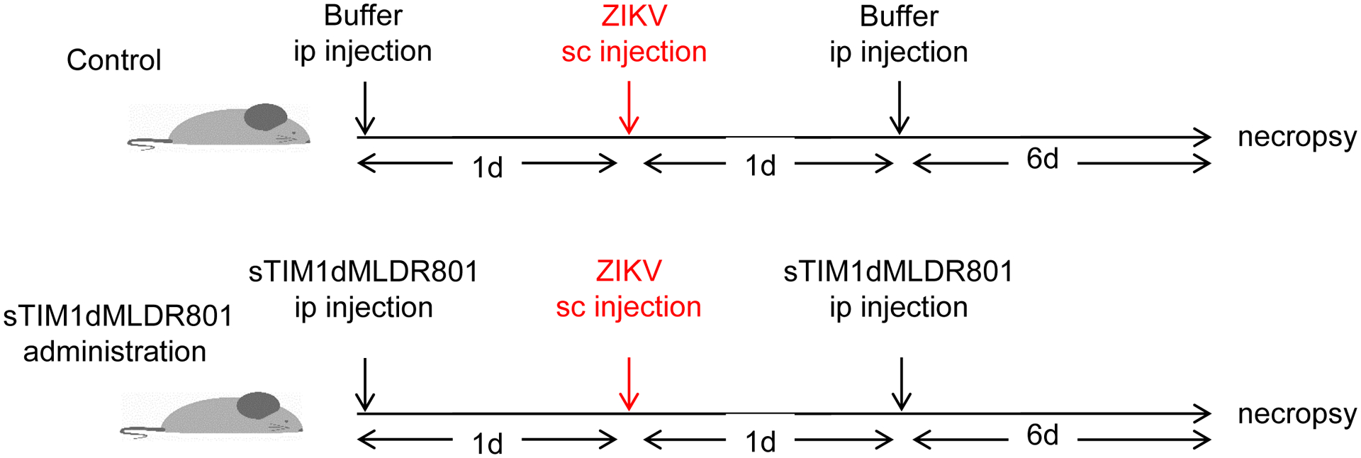 Fig 8.