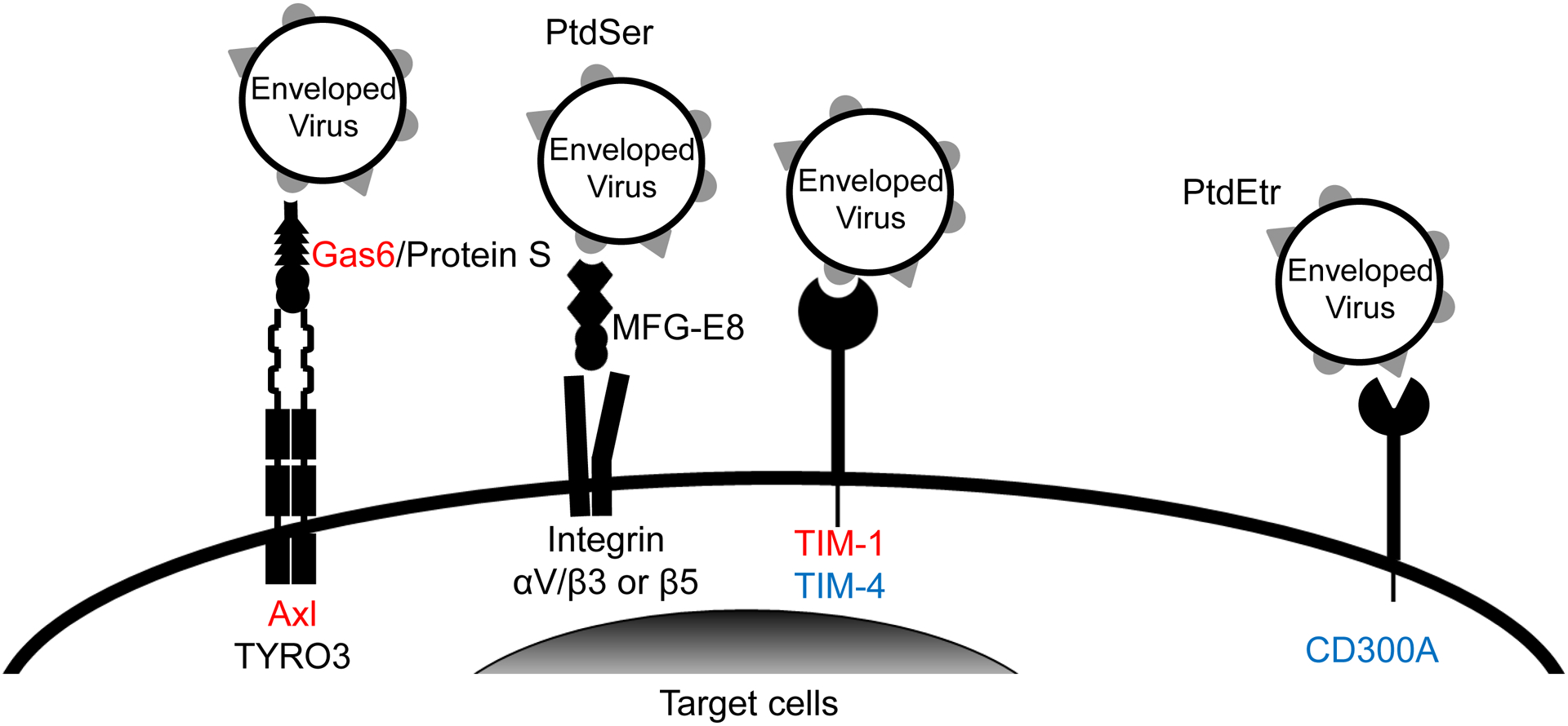 Fig 1.