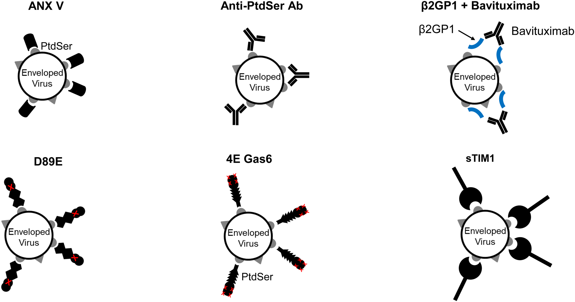 Fig 1.