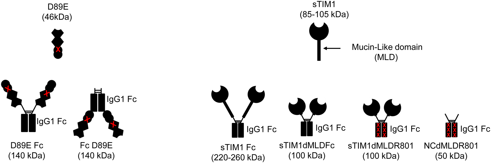 Fig 2.