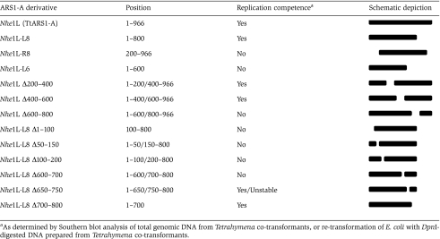 graphic file with name emboj2008282i1.jpg