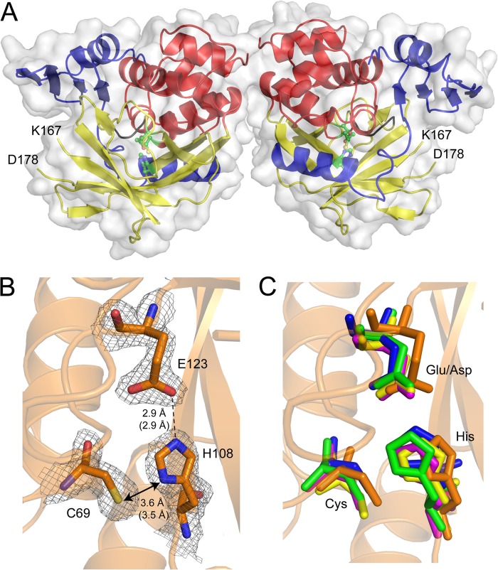 FIGURE 5.