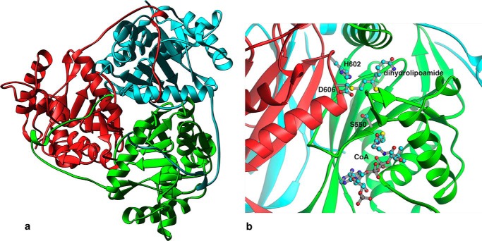 FIGURE 1.