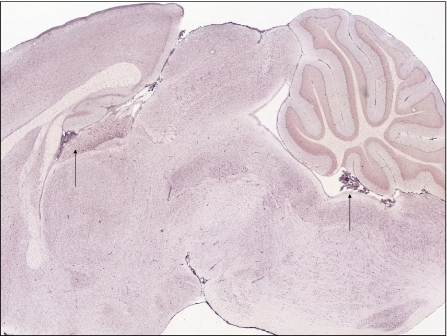 Fig. 7