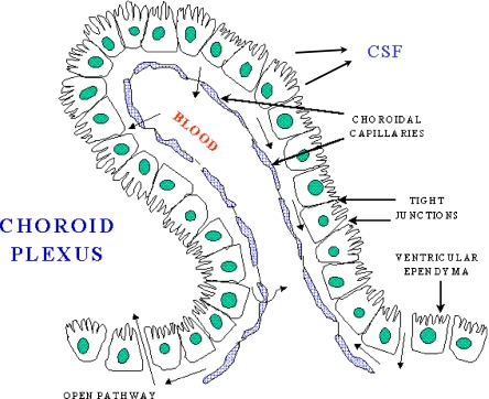 Fig. 1