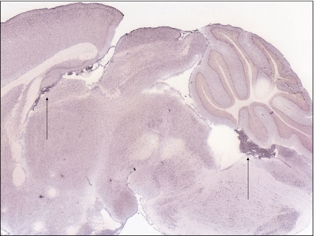 Fig. 6