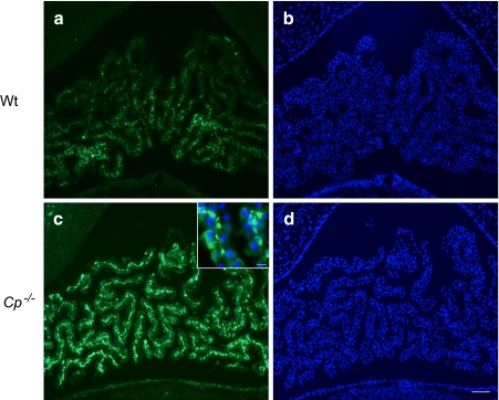 Fig. 9