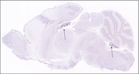 Fig. 3