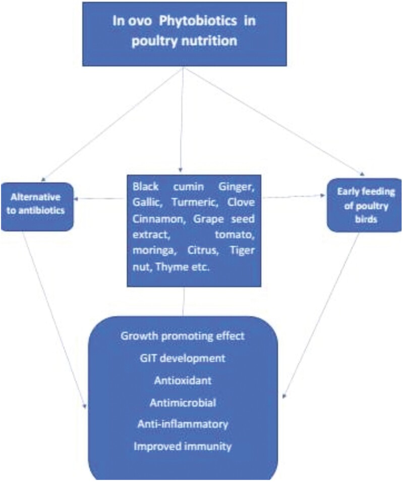 Figure 2: