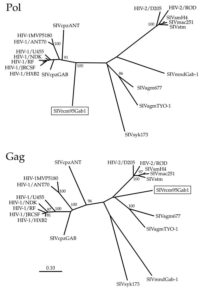 FIG. 5