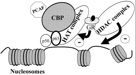 FIG. 9