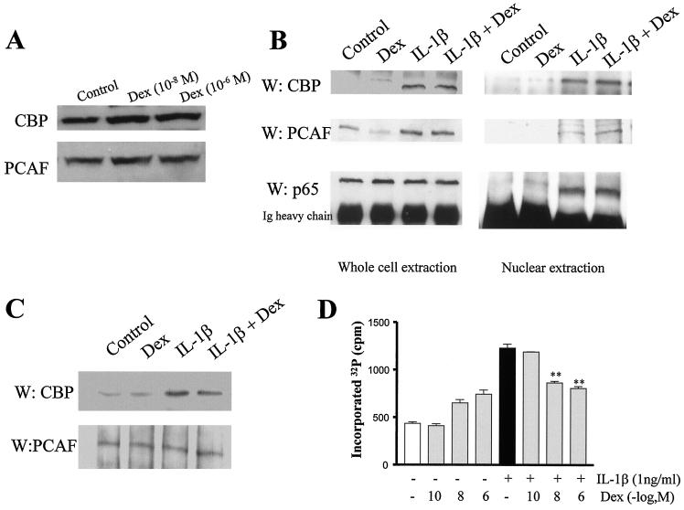 FIG. 6