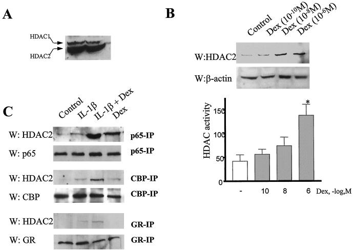 FIG. 8