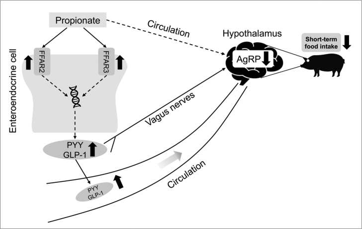 Fig. 7