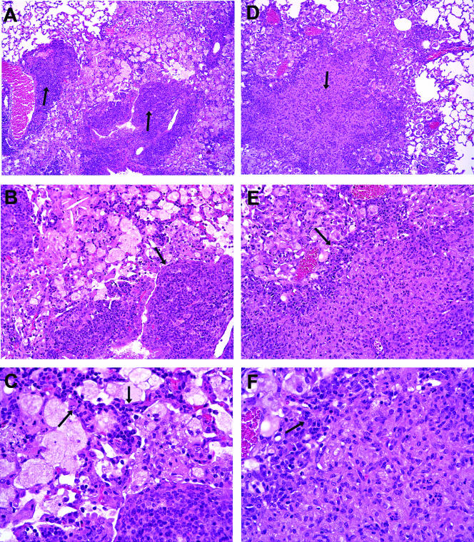 FIG. 7.