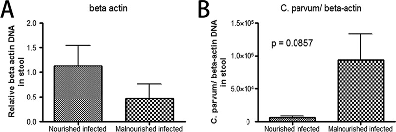 FIG 6