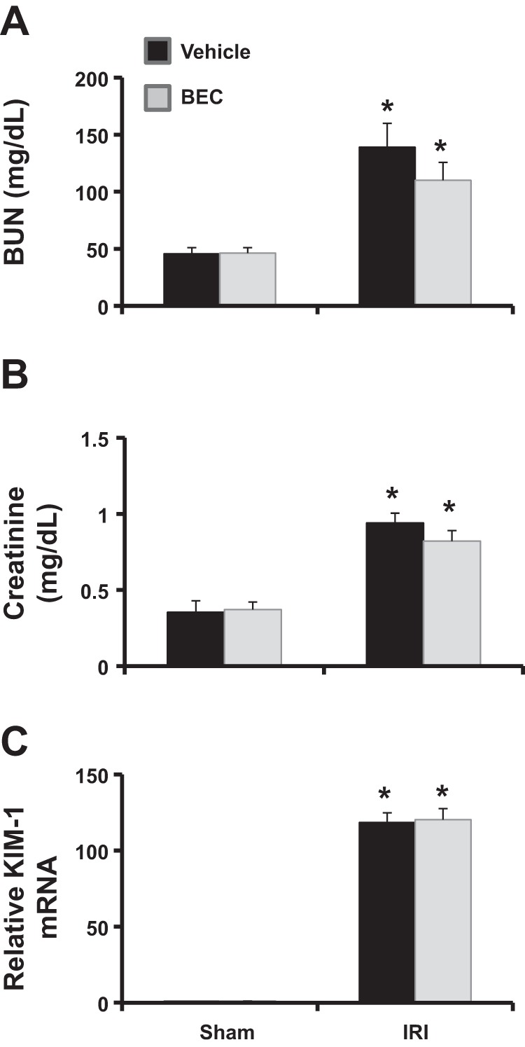 Fig. 10.