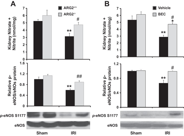 Fig. 9.