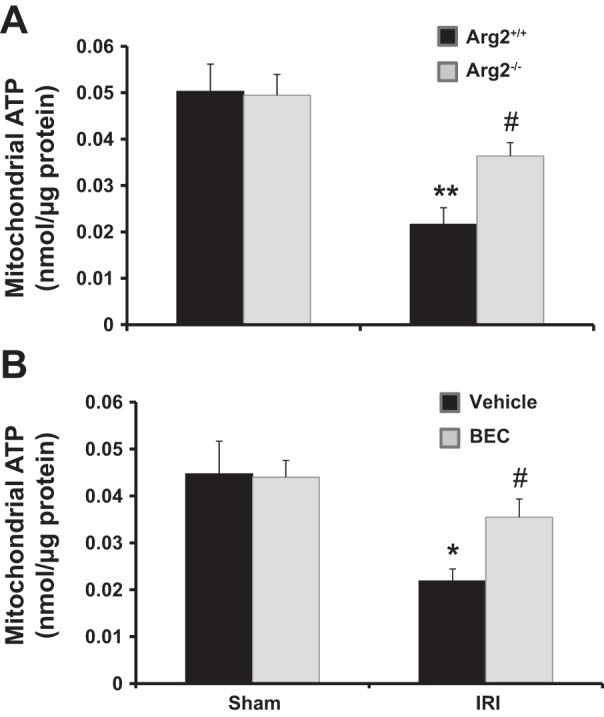 Fig. 13.