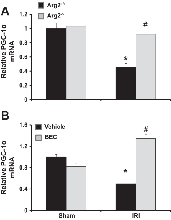 Fig. 12.