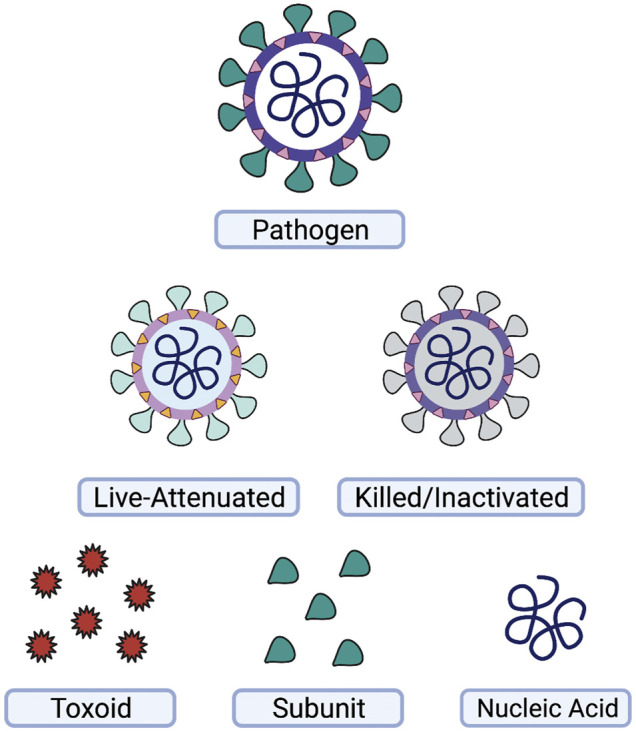 FIGURE 1