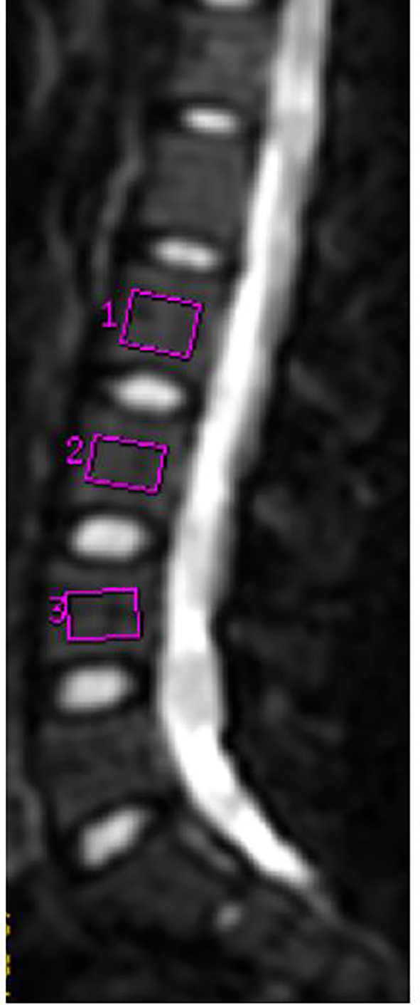 Figure 1