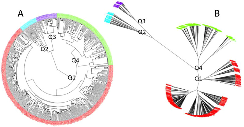 Figure 2