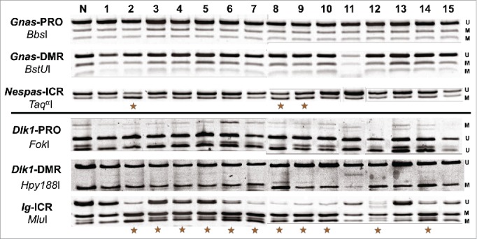 Figure 6.