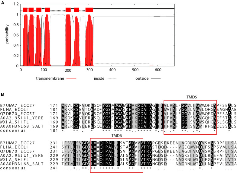 FIGURE 1