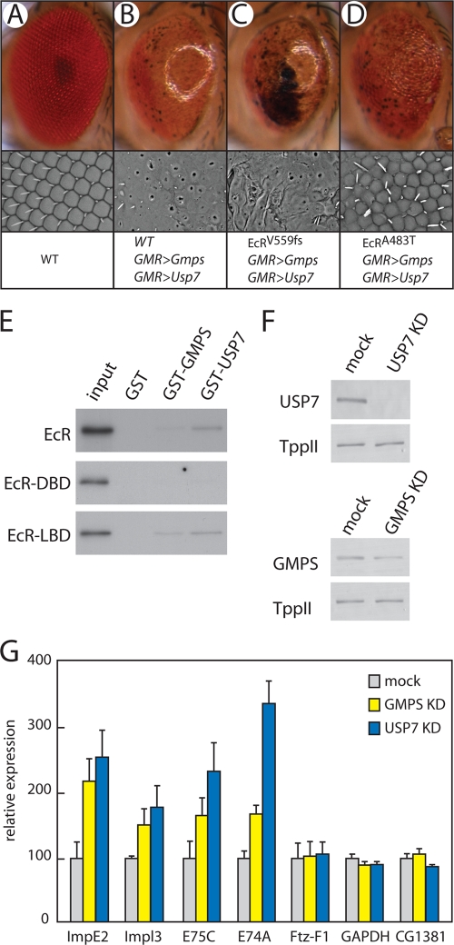 FIG. 7.